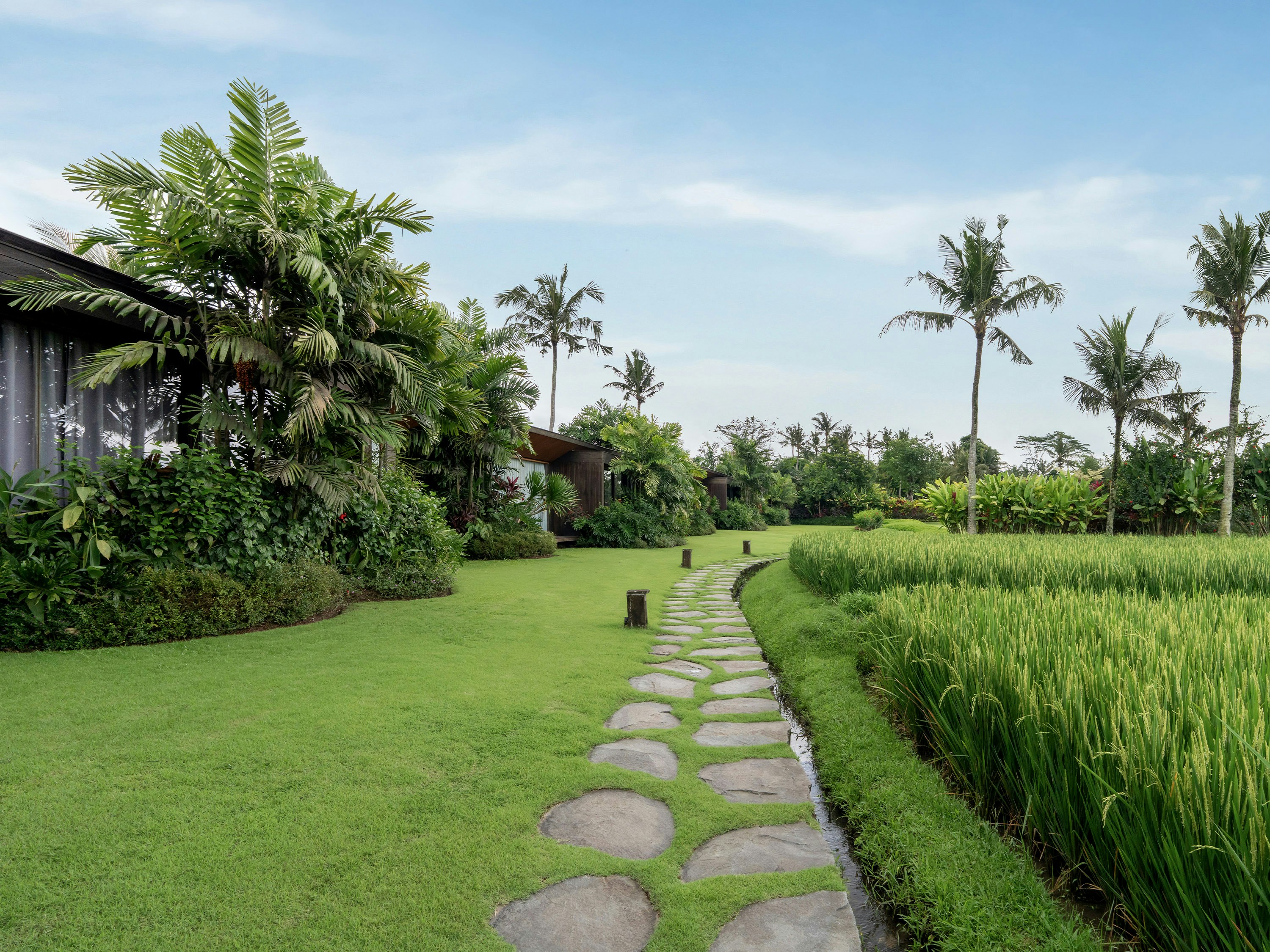 Gdas Bali Health and Wellness Resort 45/50