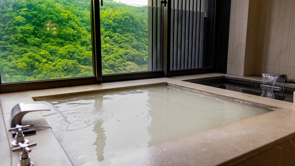 Grand View Resort Beitou 19/50