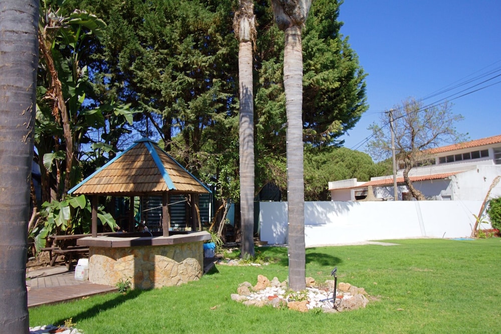 WOT Algarve Soul 63/65