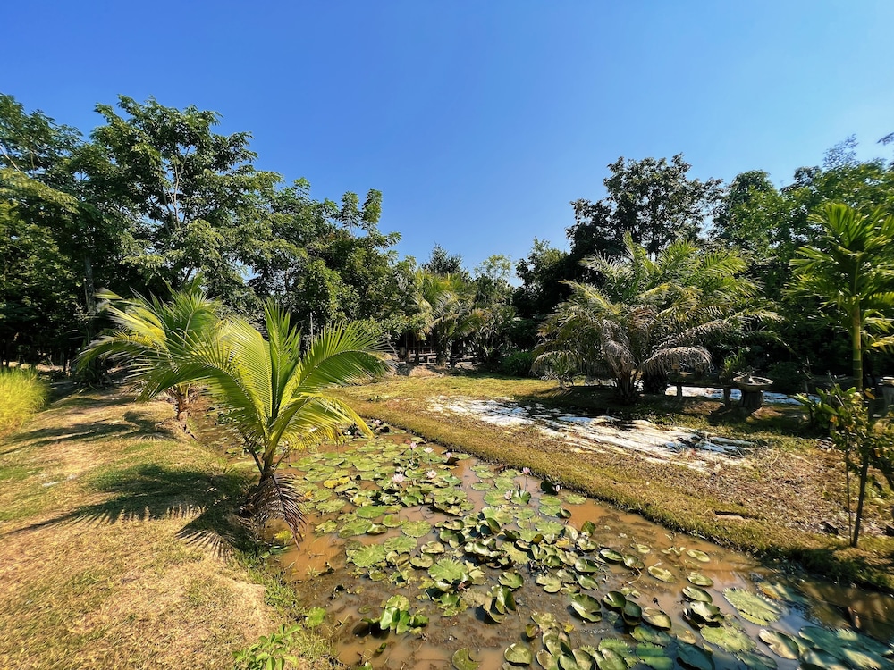 Sukhothai City Resort 26/50
