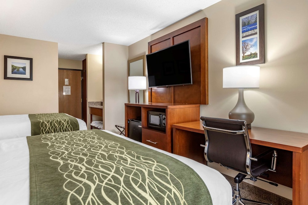 Comfort Inn Suites Dimondale Lansing 18/35