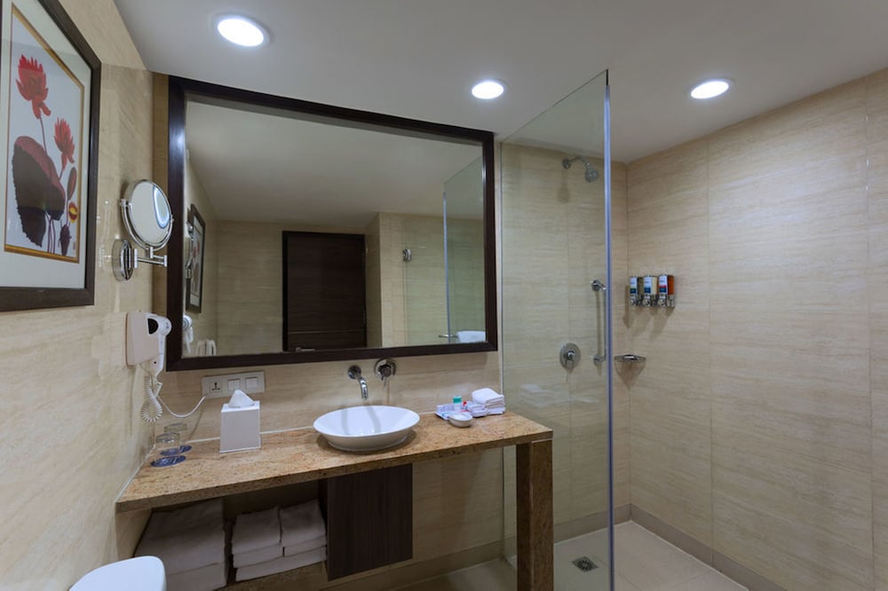 FOUR POINTS BY SHERATON VADODARA 13/22