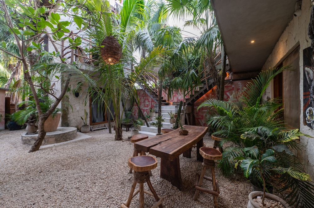 Casa Coyote Tulum 38/50