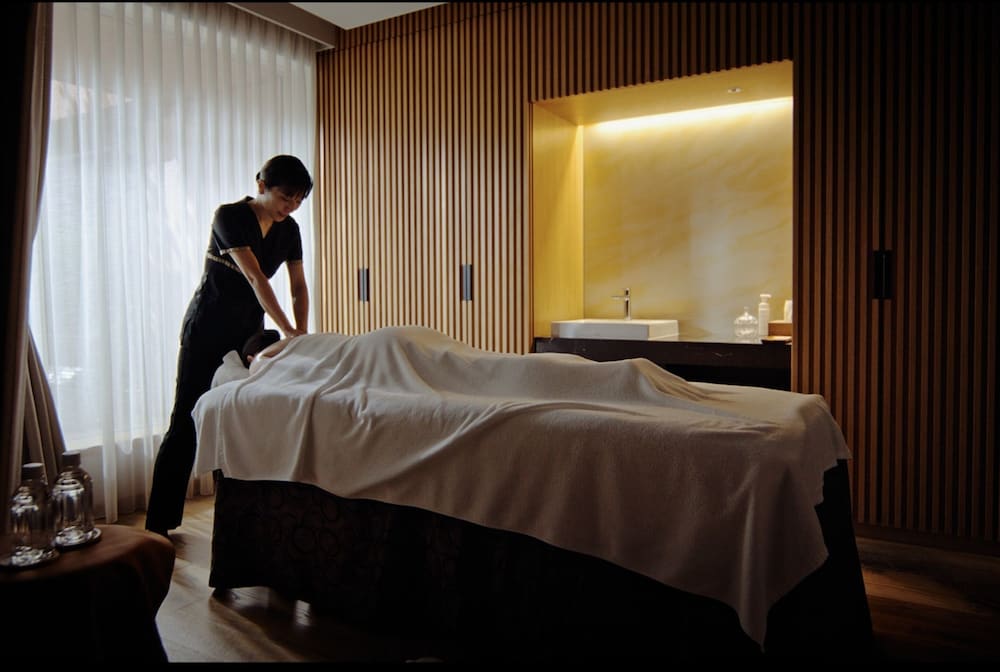 Hotel The Celestine Tokyo Shiba 41/68