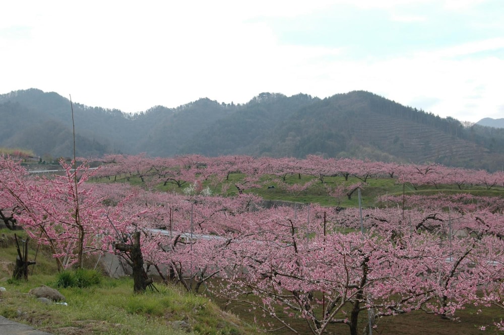 HOTEL HATTA YAMANASHI 42/49