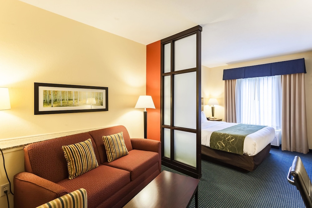 Comfort Suites East 19/42