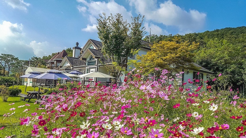 Hongcheon Starsonata Pension 47/50