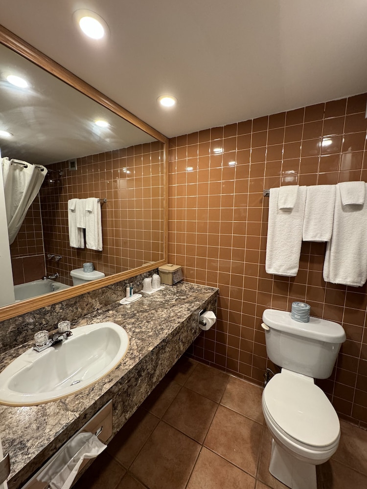 Travelodge by Wyndham Winnipeg Airport 37/37