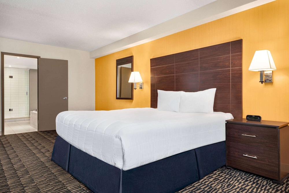Ramada Plaza By Wyndham Niagara Falls 22/79