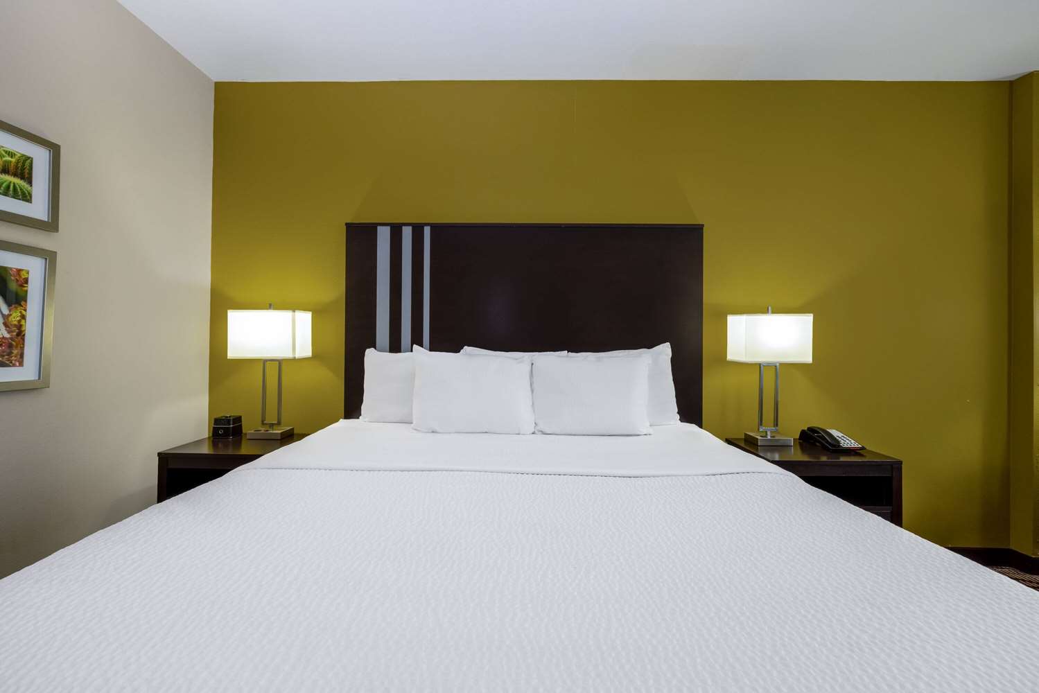 La Quinta Inn & Suites by Wyndham Artesia 11/58