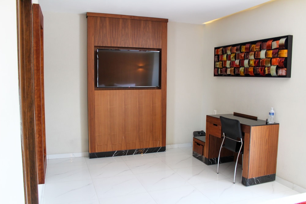 Dali Ejecutivo酒店(Hotel Dali Ejecutivo) 图片4