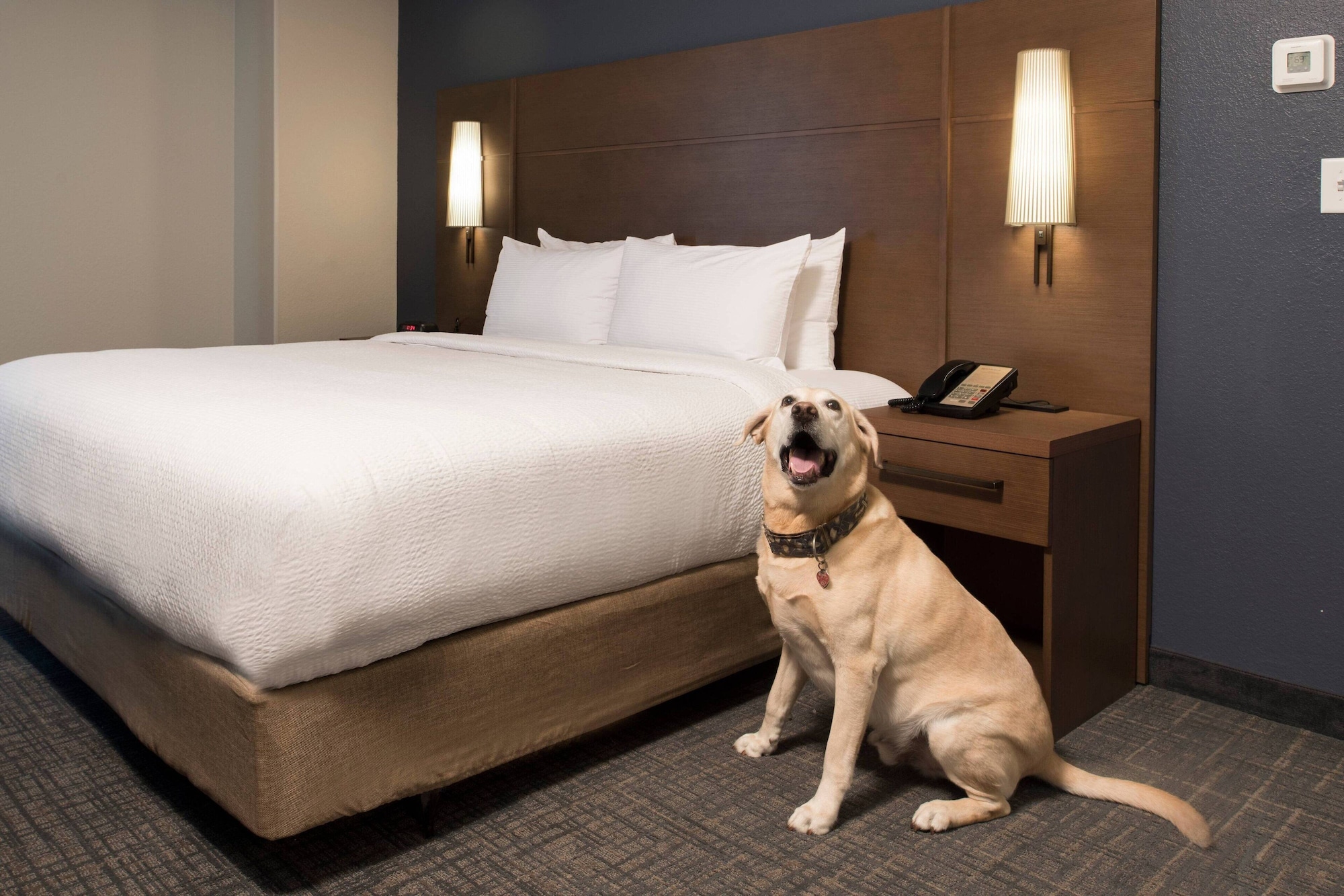 استوديو بسرير كوين مع أريكة، Residence Inn Memphis Downtown 7/10
