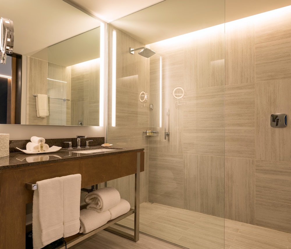 Hilton Garden Inn Chihuahua Chihuahua 14/67