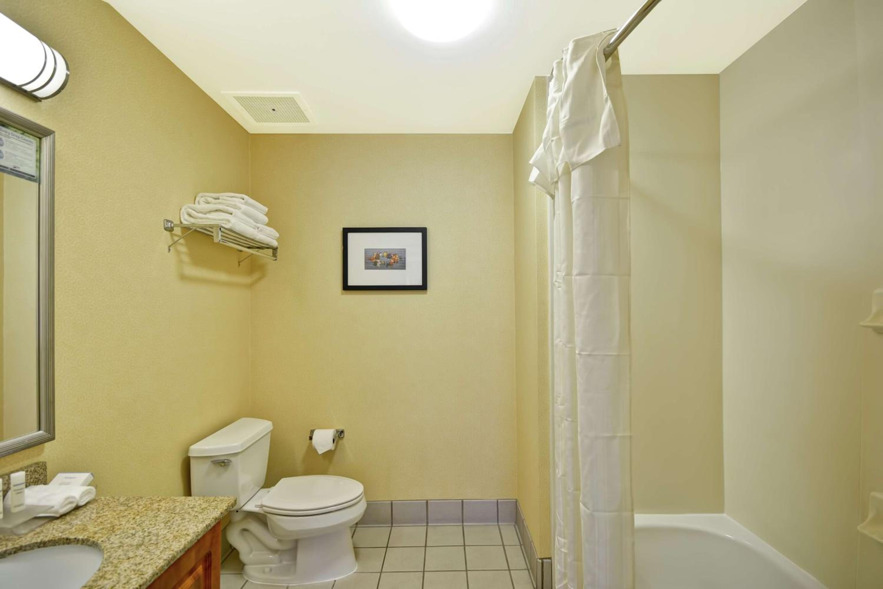 1 King Bed 1 Bedroom Suite Nonsmok