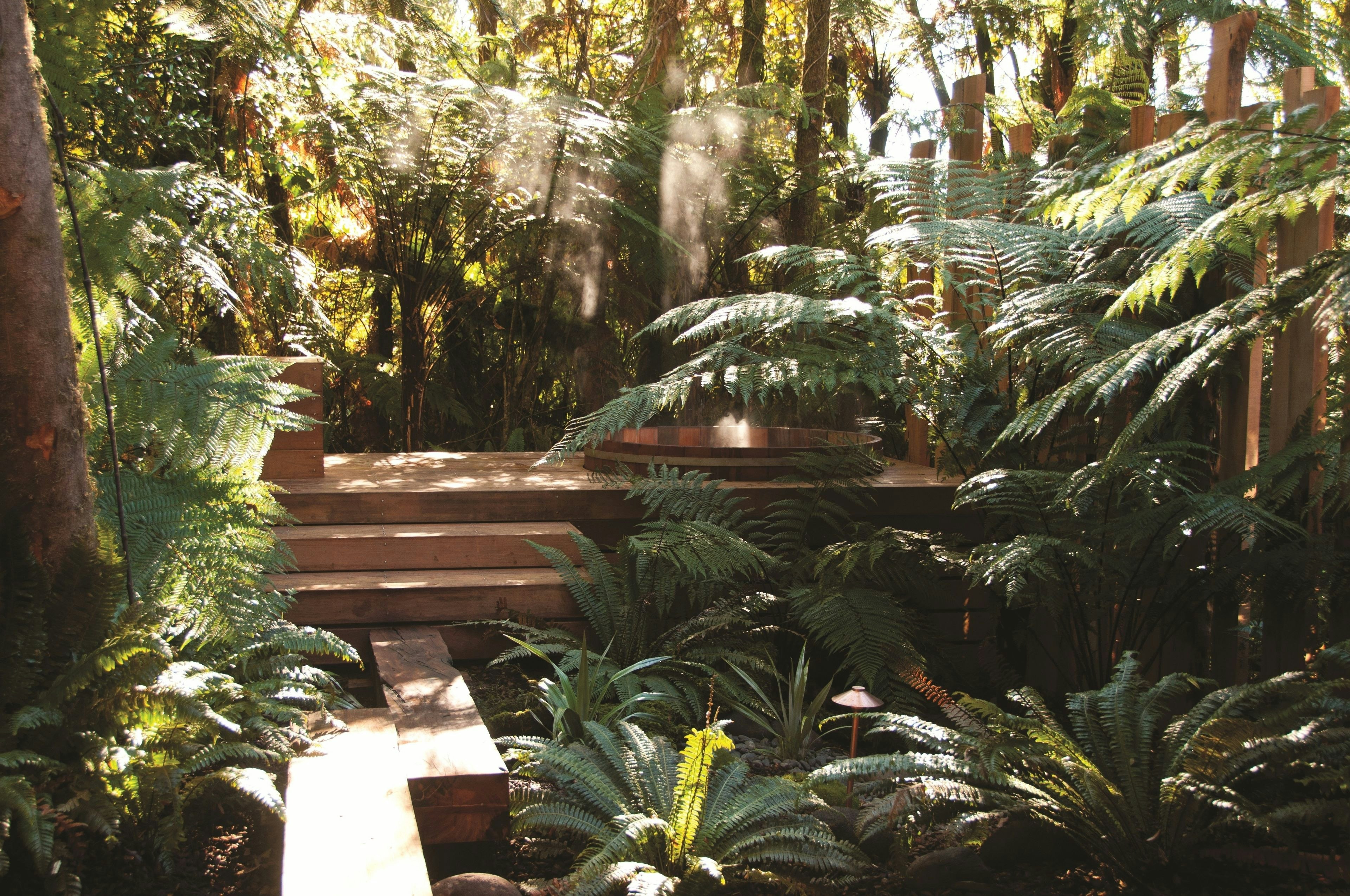 Treetops Lodge and Wilderness Experience 58/59