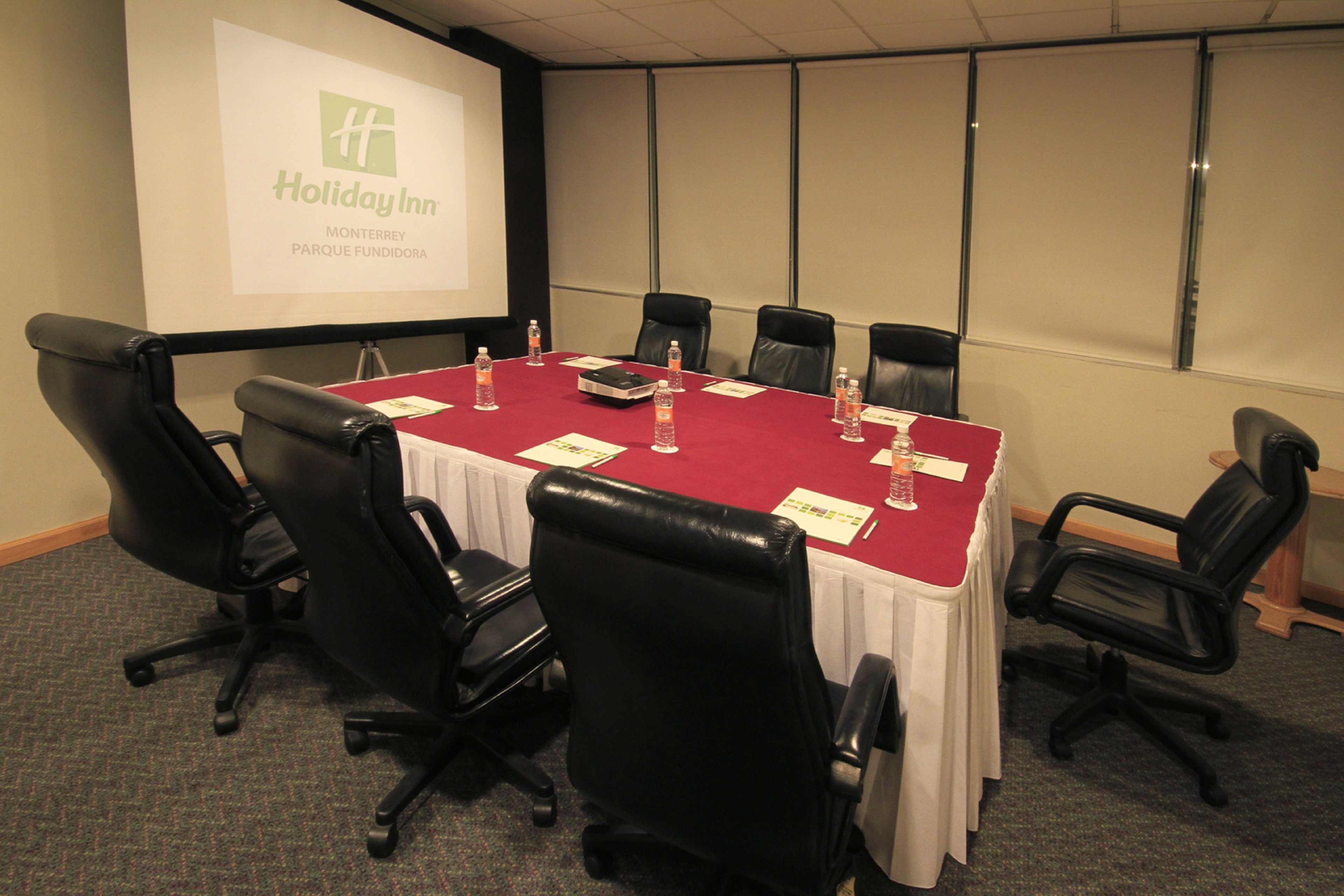Holiday Inn Monterrey Parque Fundidora 61/78