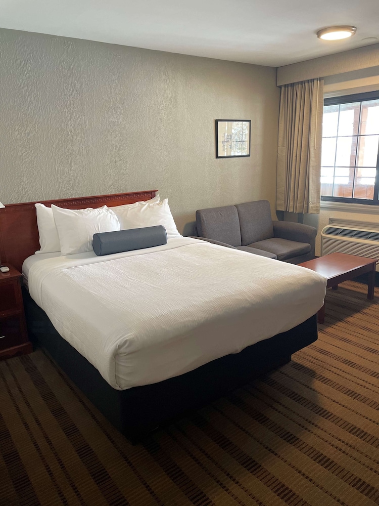 SureStay Plus by Best Western Woodbury Inn 14/35