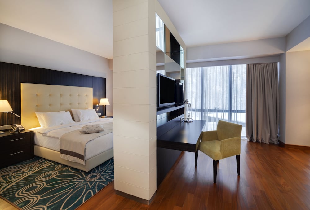Crowne Plaza Borjomi 18/76