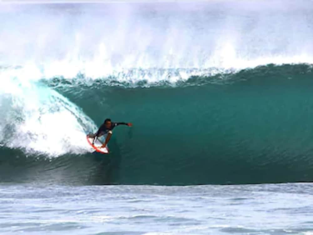 Sal Secret Spot 67/72