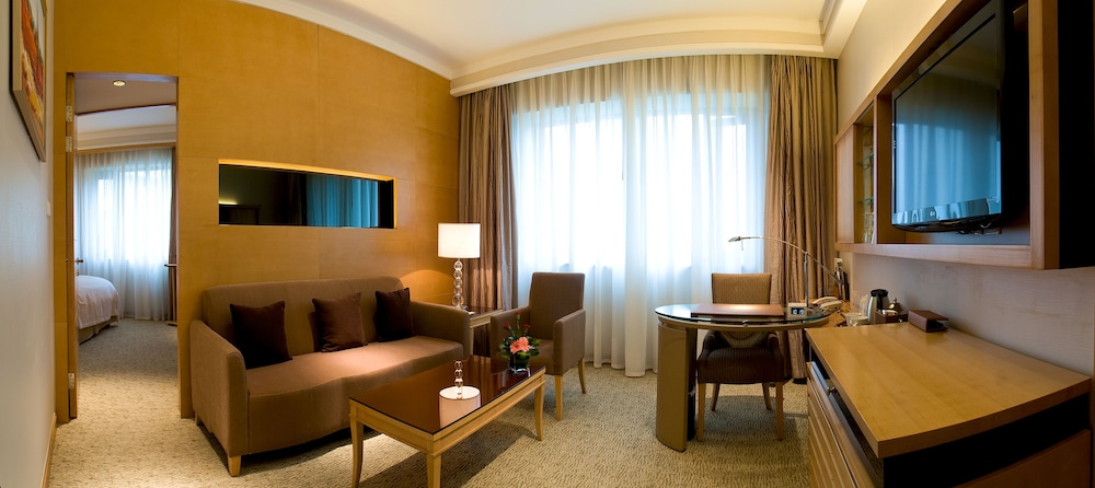 Millennium Hotel Chengdu 49/76