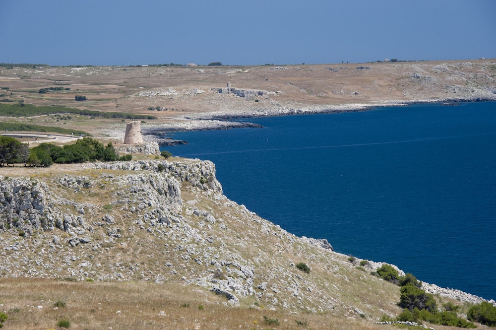 surroundings