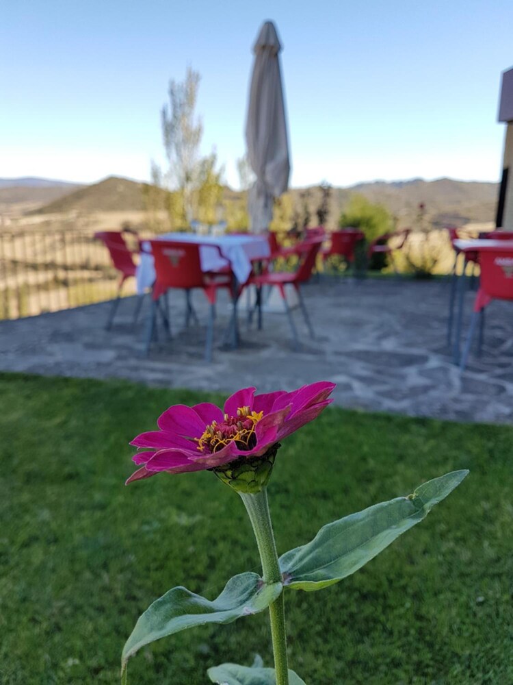 Hotel Triskel 21/50