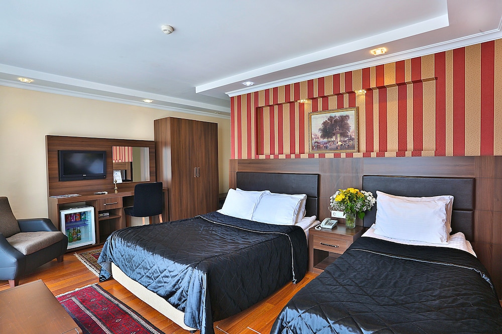 THE ISTANBUL HOTEL 17/50