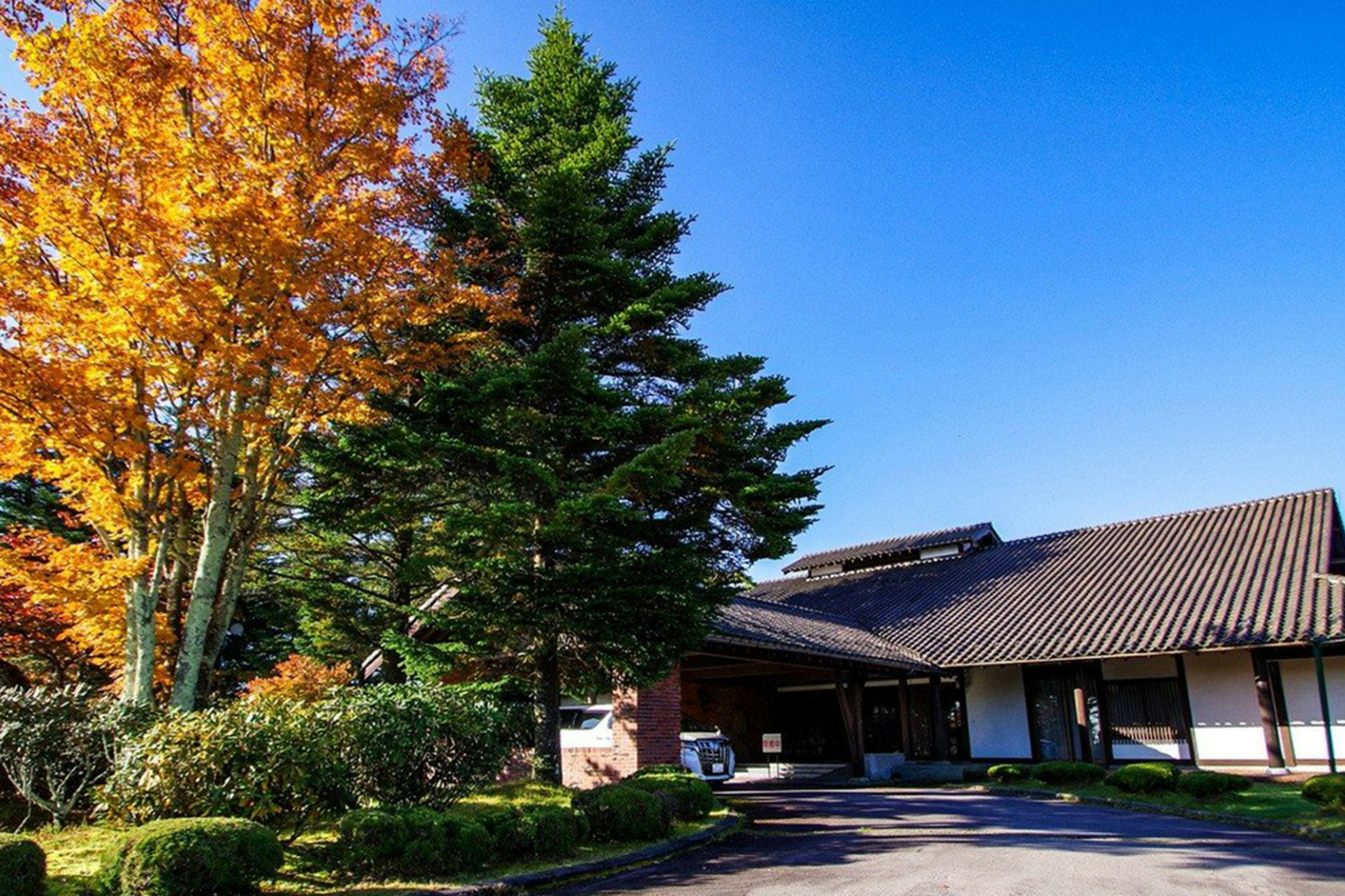 Tsumagoi Prince Hotel 5/50