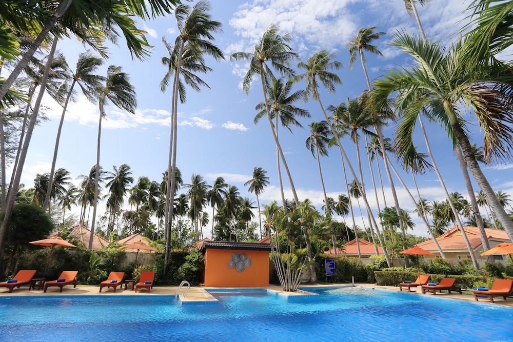 万岁渡假酒店(Viva Vacation Resort) 图片1