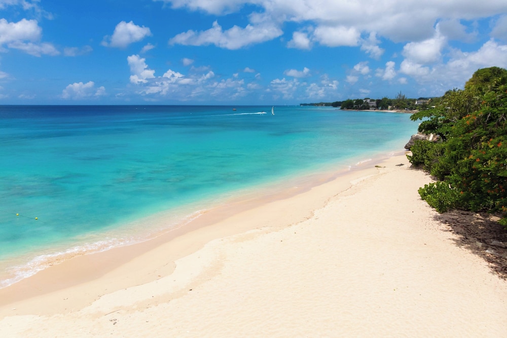 Crystal Cove by Elegant Hotels - All-Inclusive 45/50