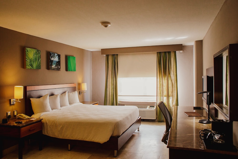 Hilton Garden Inn Boca Del Rio Veracruz 14/78