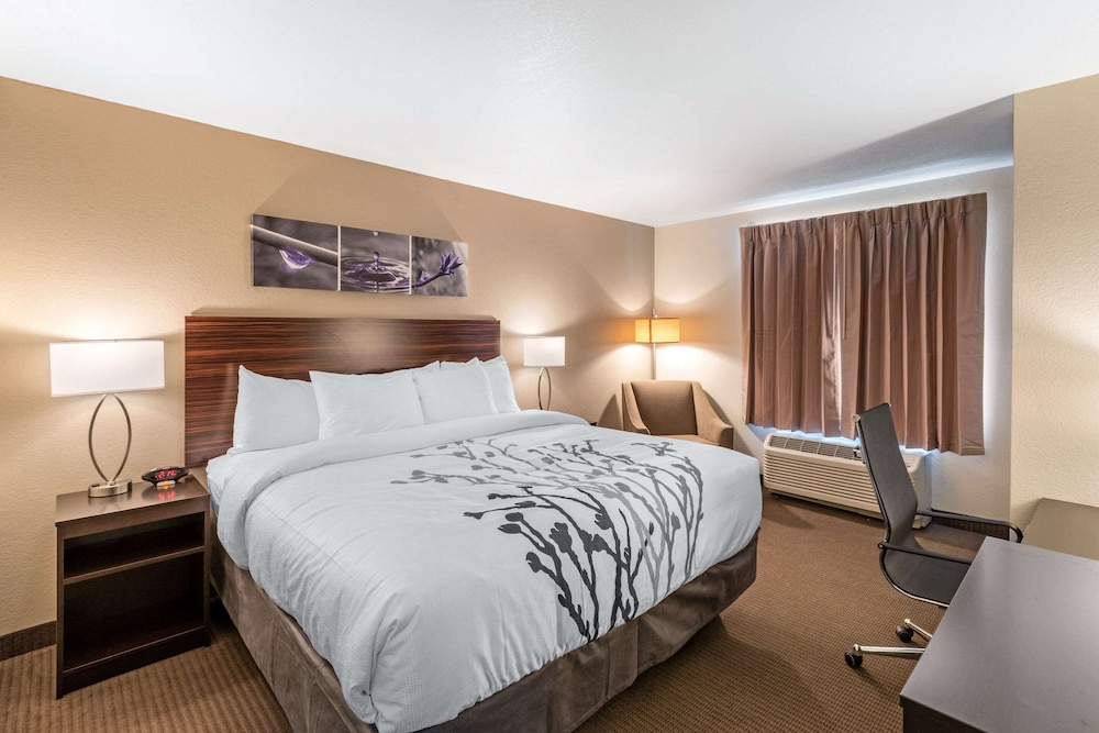 ROOM, KING BED
