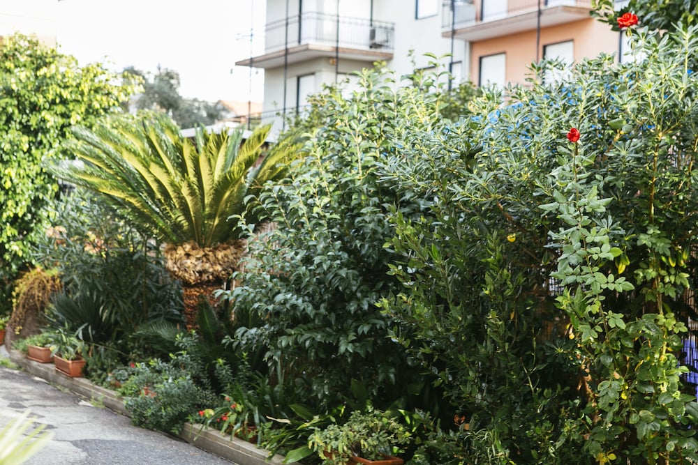 Hotel Delle Rose 42/50