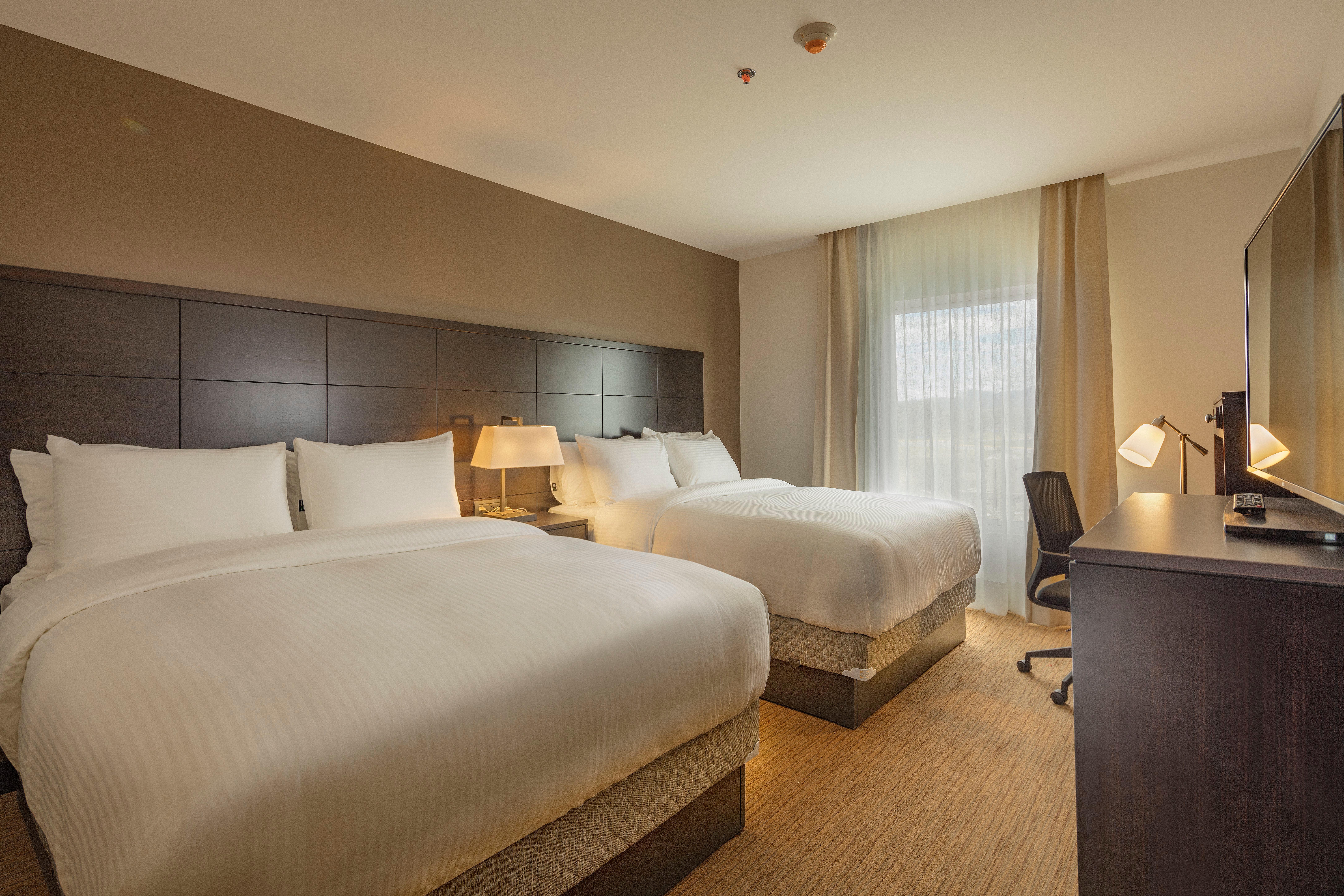 1 Bedroom, Suite, 2 Queen Beds