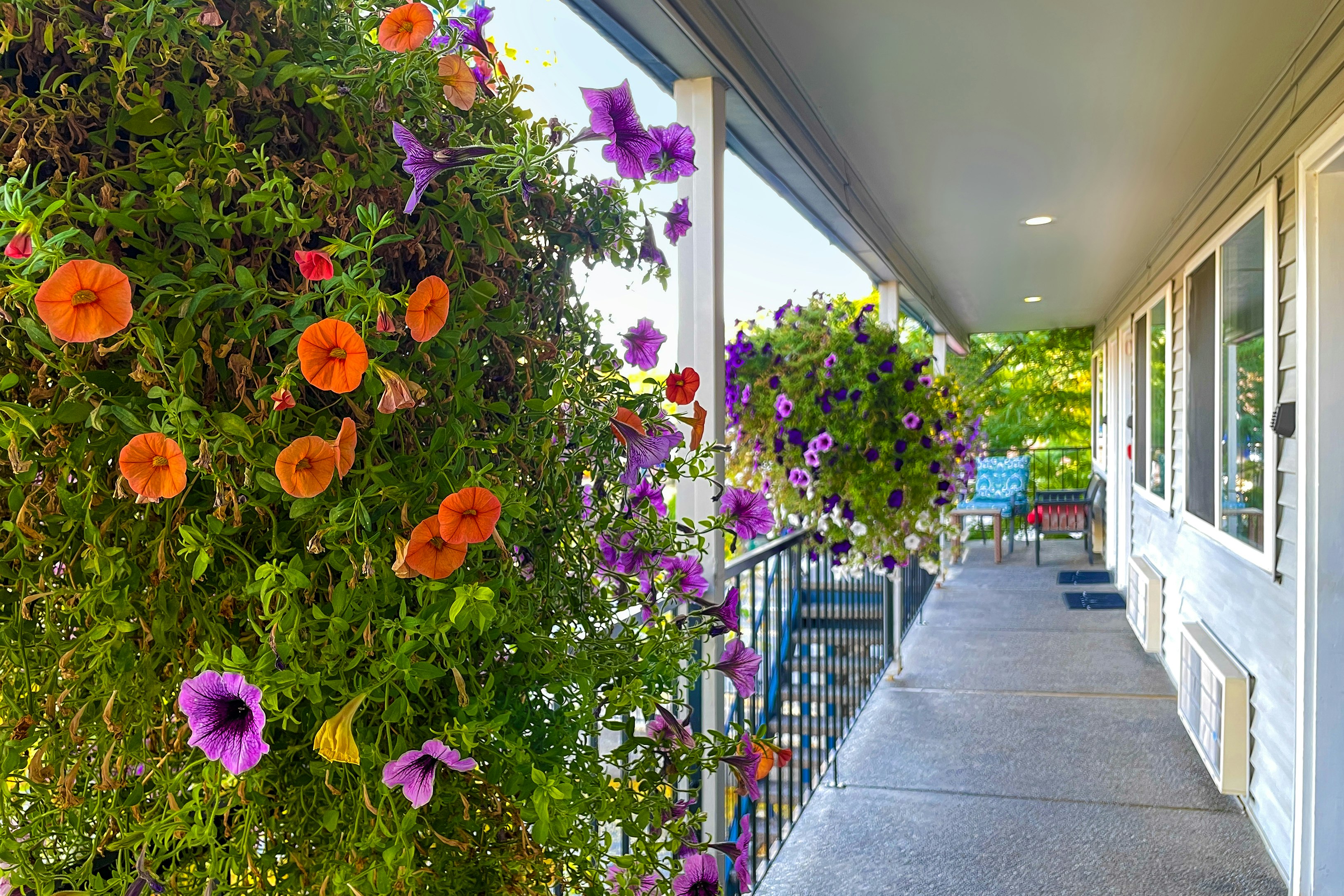 Resort City Inn Coeur D Alene 38/38