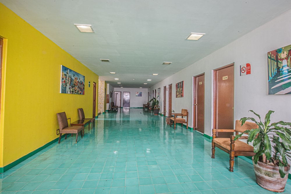 Hotel Palacio 5/57