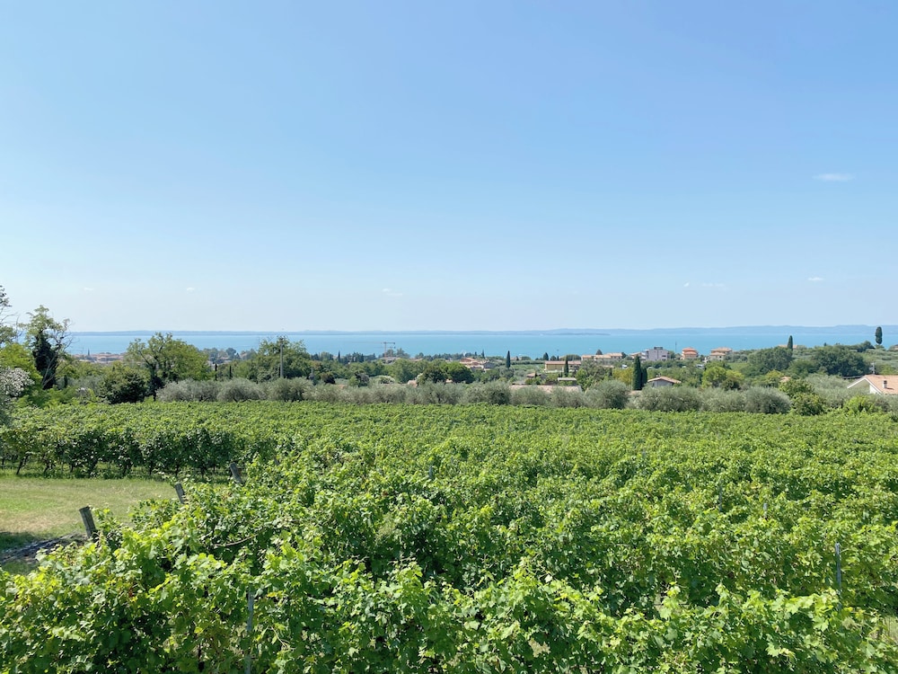 Appartamenti Vignol 1 25/43