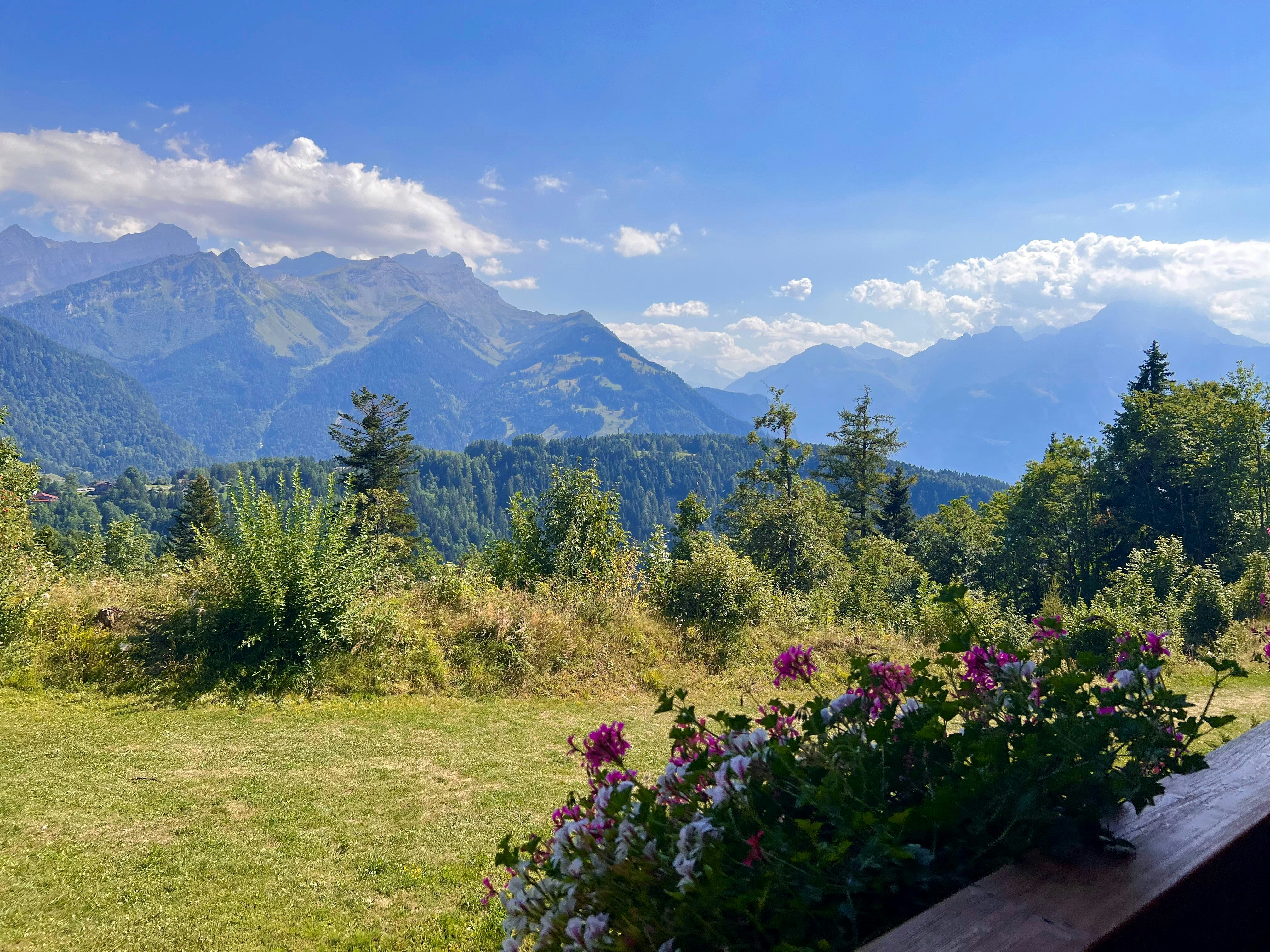 Chalet RoyAlp Hotel & Spa 82/86