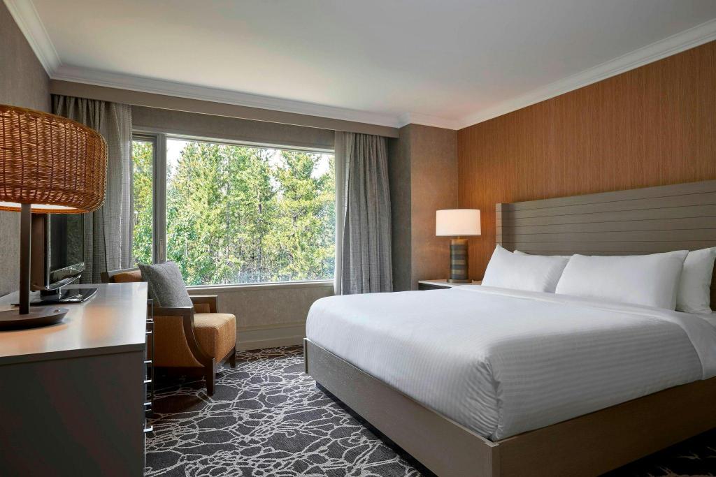 جناح تنفيذي بسرير كينج مع أريكة
