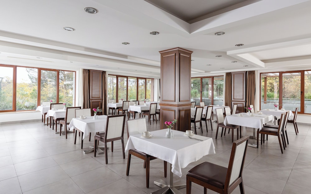 Chinar Hotel & Spa 36/50