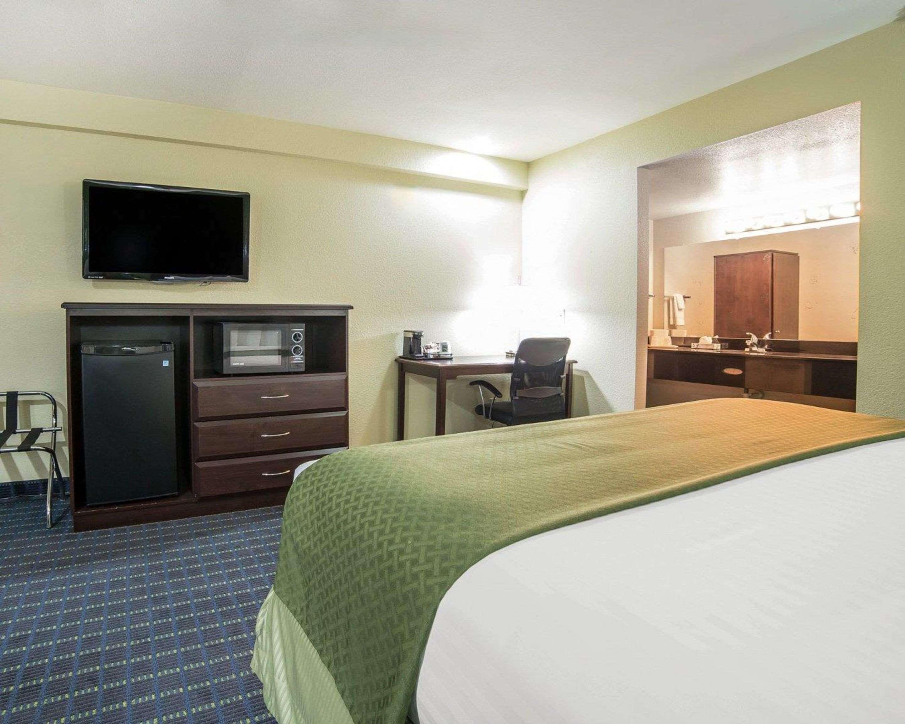 Suite, King Bed