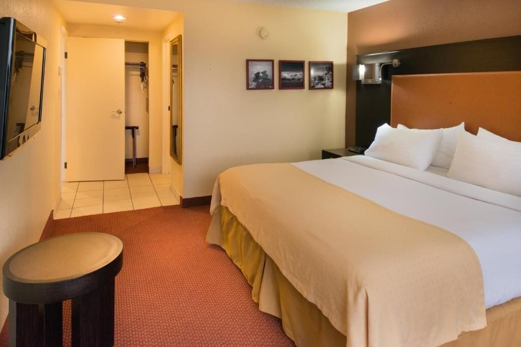 SUITE, KING BED, JETTED TUB