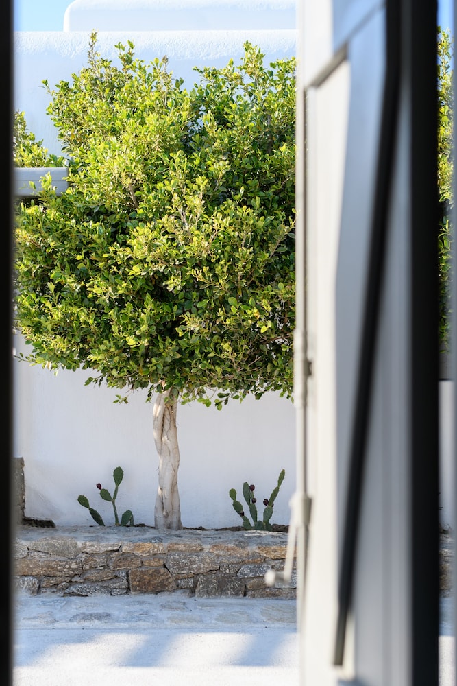 OLIVE MYKONOS VILLAS 66/73