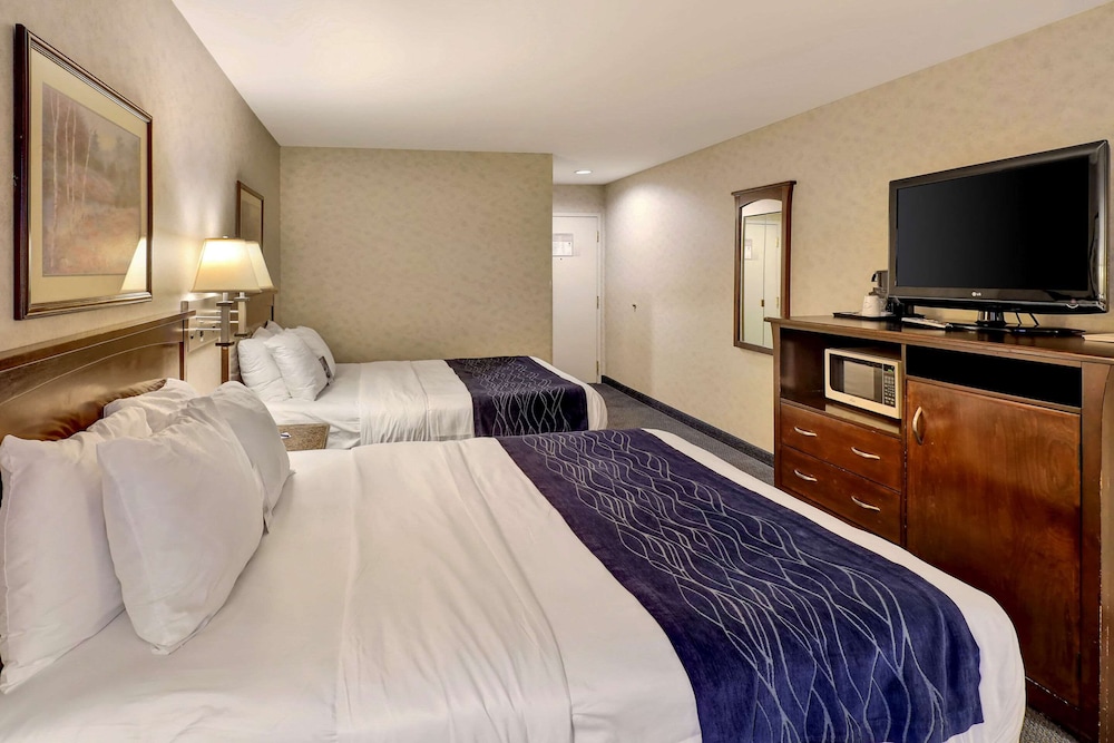 COMFORT INN(BELLINGHAM) 17/42