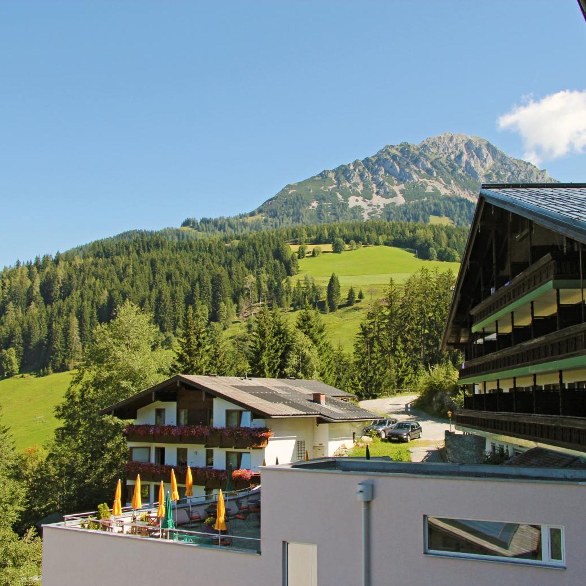 Hotel Alpenkrone 8/65