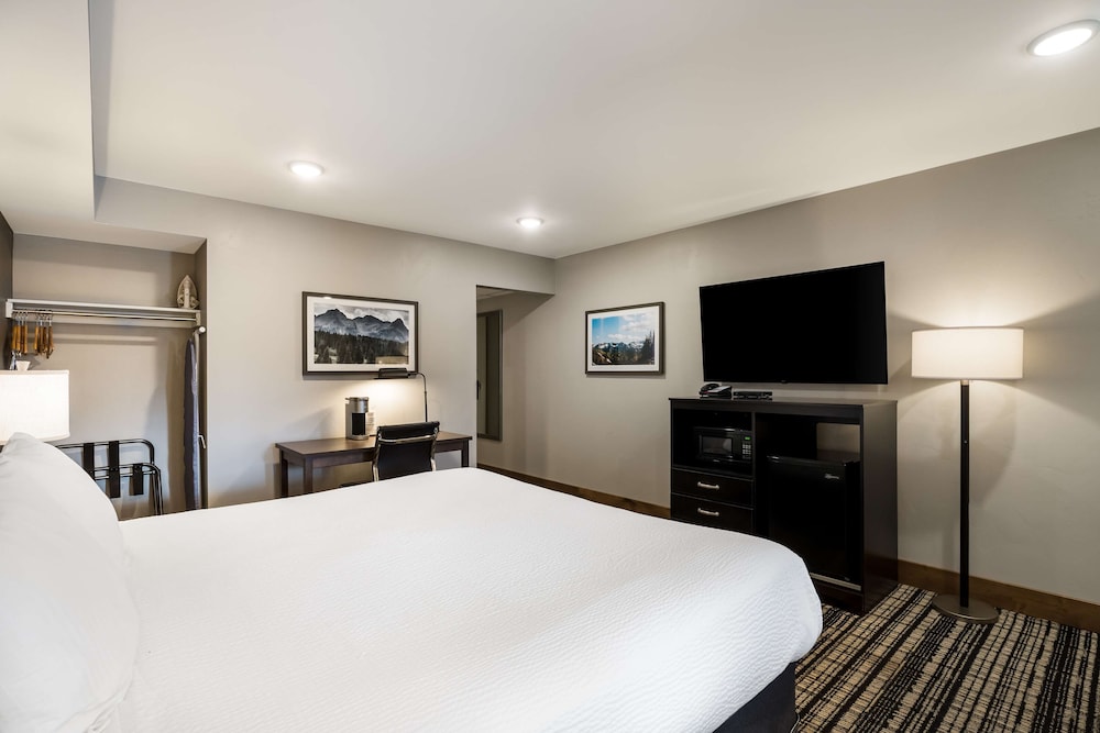 JUNIOR SUITE, KING BED, LARGE