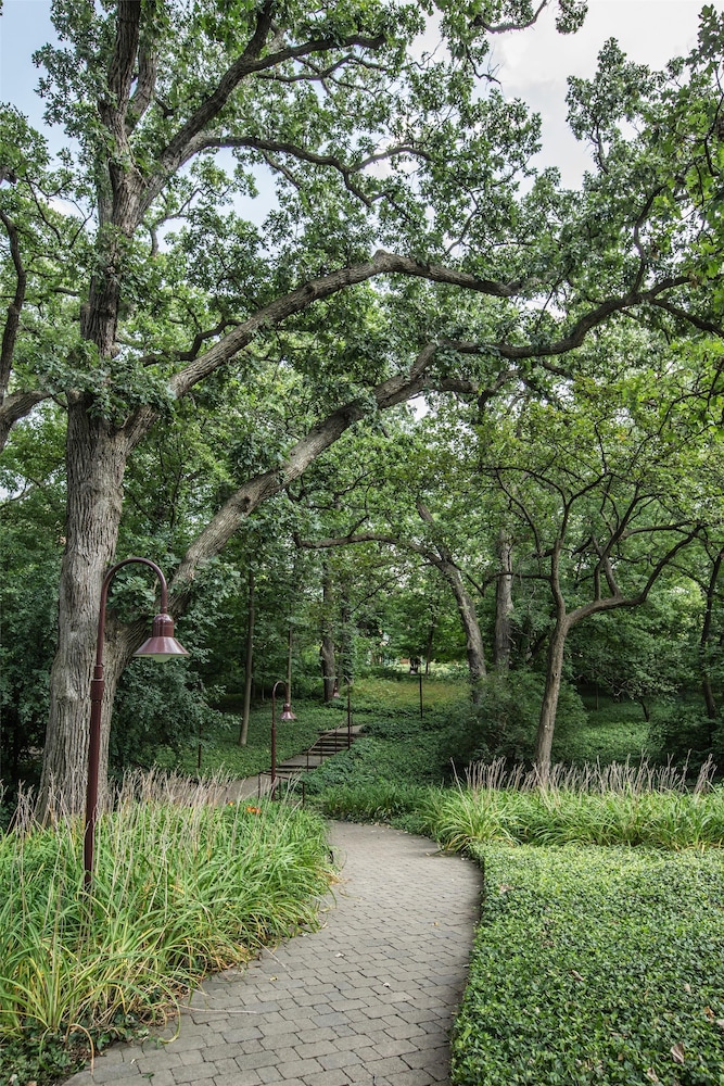 Hyatt Lodge Oak Brook Chicago 70/71