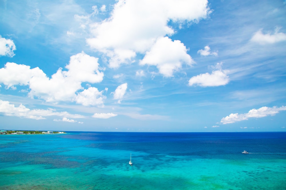 Grand Hyatt Grand Cayman Resort Spa 29/38
