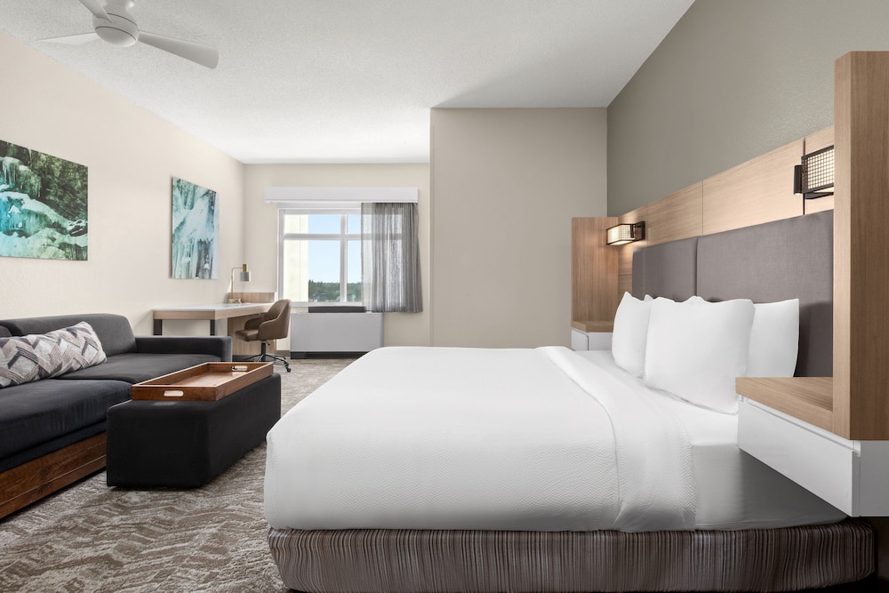 Suite, King Bed, Sofa