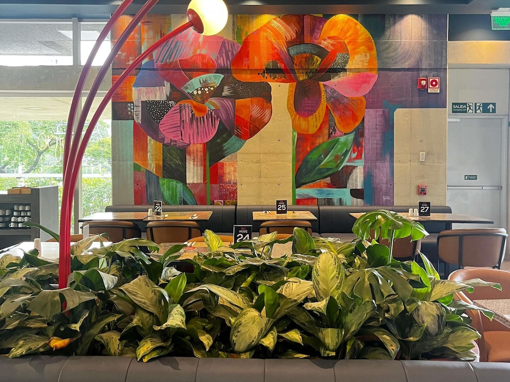 Ibis Medellin 61/67